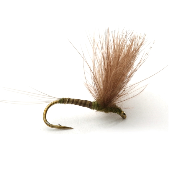 Bilde av UMPQUA Cdc Biot Comparadun Olive