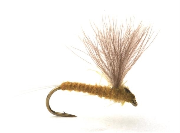 Bilde av UMPQUA Rune's Cdc Nohackle Light Olive