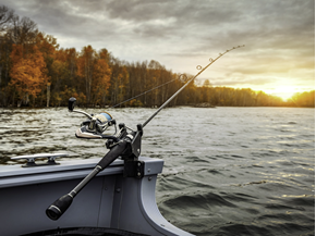 Bilde for kategori Markfiske