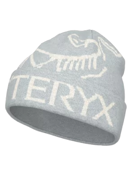 Bilde av ARCTERYX Bird Word Toque Solitude/Arctic Silk
