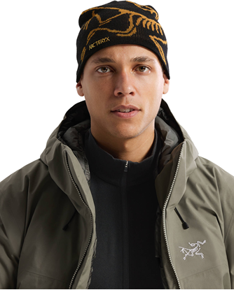 Bilde av ARCTERYX Word Head Toque 24K Black