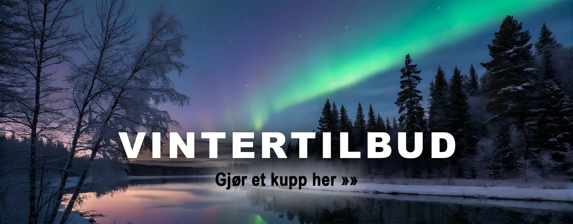 Vintertilbud
